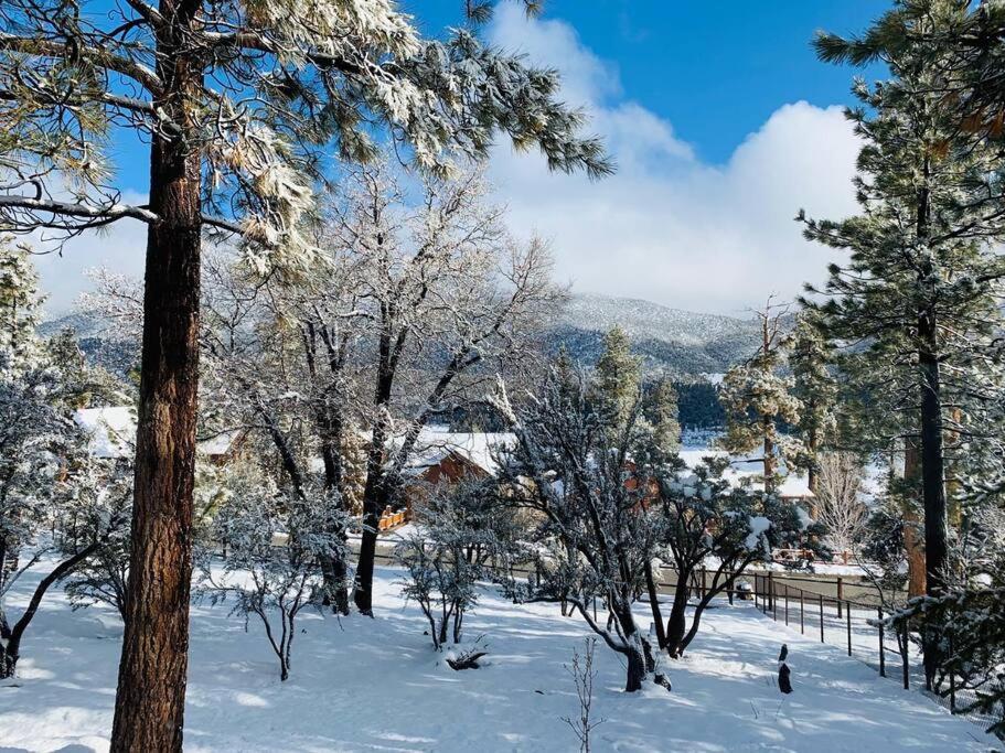Custom Single Story Cabin With Jacuzzi Pool Table & Big Game Room With Arcade Games Big Bear Lake Kültér fotó